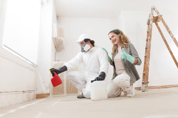 Best Mold Damage Restoration  in Sabina, OH